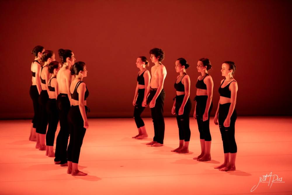 STUDIO LIBRE A CORPS043