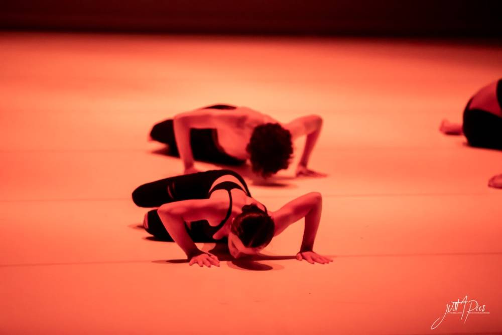 STUDIO LIBRE A CORPS046