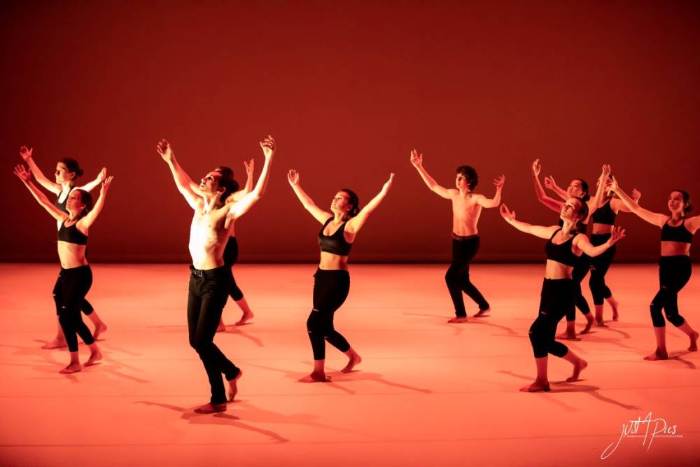 STUDIO LIBRE A CORPS048