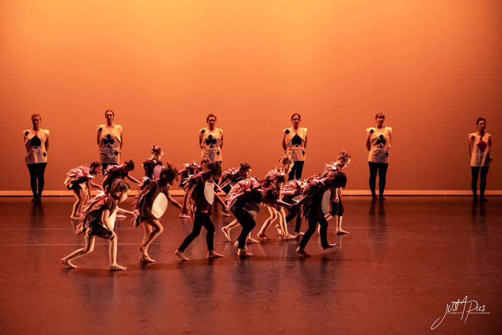 LIBREACORPS_2019 (20)