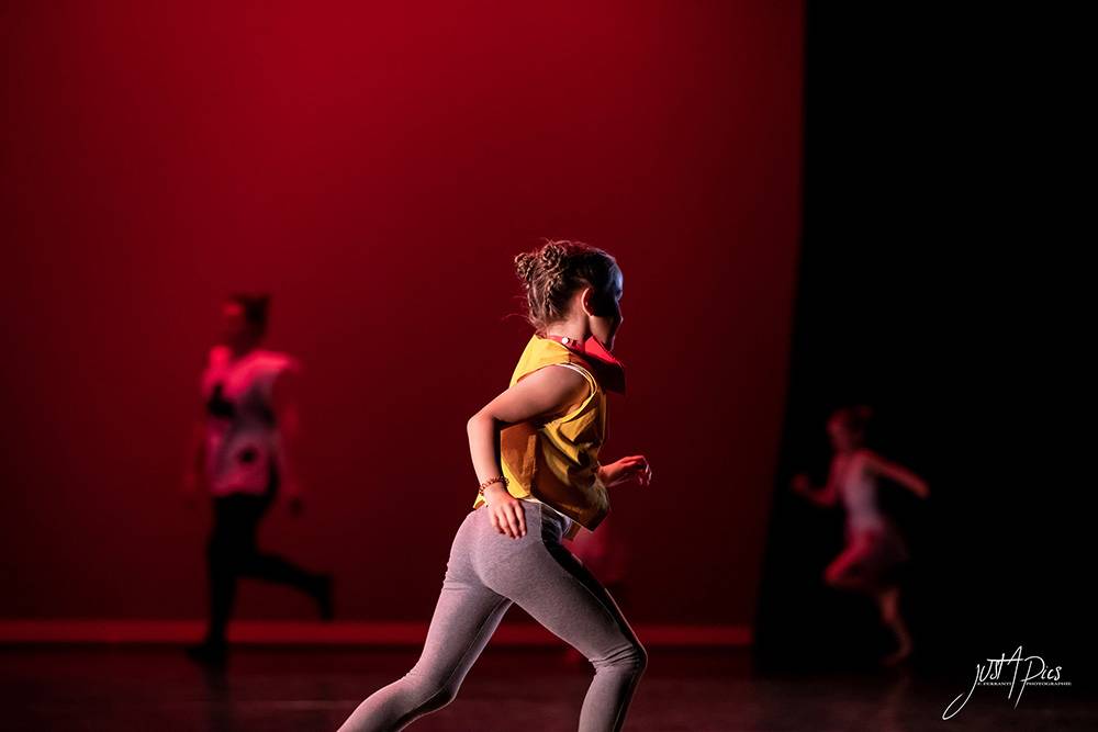 LIBREACORPS_2019 (18)