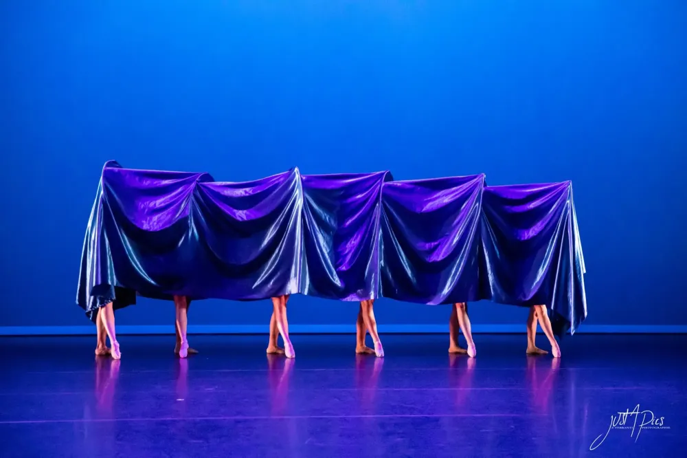 spectacle 2019 (13)