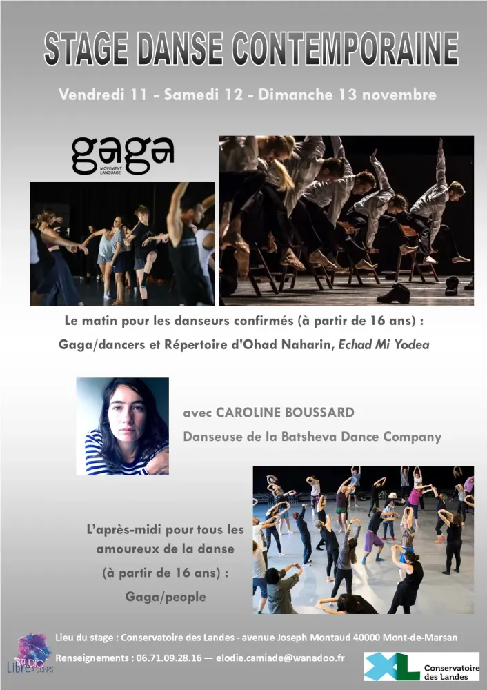 Stage de gaga Ohad Naharin